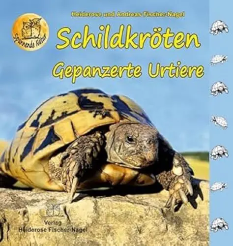 Produktbild: Schildkröten: Gepanzerte Urtiere