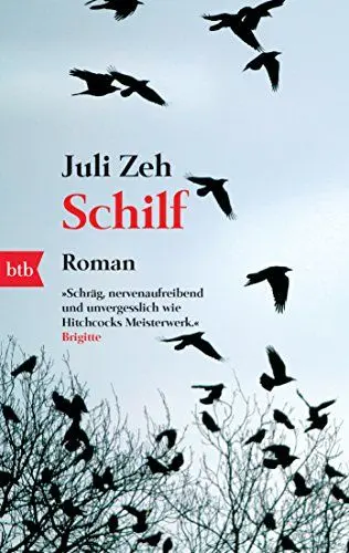 Produktbild: Schilf: Roman