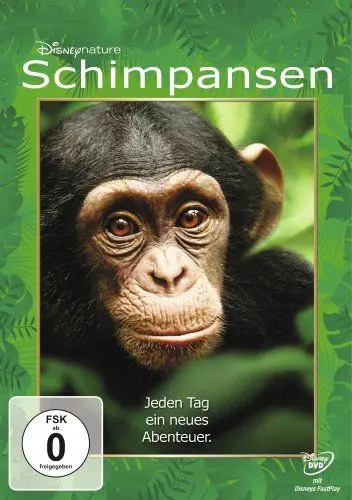 Produktbild: Schimpansen