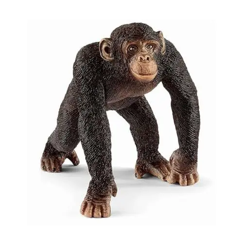 Produktbild: Schleich Male Chimpanzee Figurine