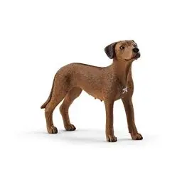 Produktbild: schleich 13895 Rhodesian Ridgeback, für Kinder ab 3+ Jahren, FARM WORLD - Spielfigur, Weizenfarben