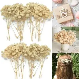 Produktbild: Schleierkraut Getrocknet 15cm Trockenblumen Zum Basteln - 20 Stück Getrocknete Blumen, Baby’s Breath Trockenblumen Deko Echte Natur, für DIY, Hochzeitsdeko, Haarschmuck, Wohnkultur