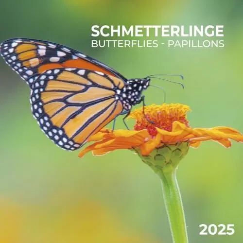 Produktbild: Schmetterlinge 2025: Kalender 2025 (Artwork Edition)