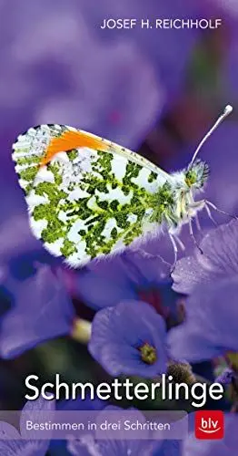 Produktbild: Schmetterlinge: Bestimmen in drei Schritten (BLV Insekten)