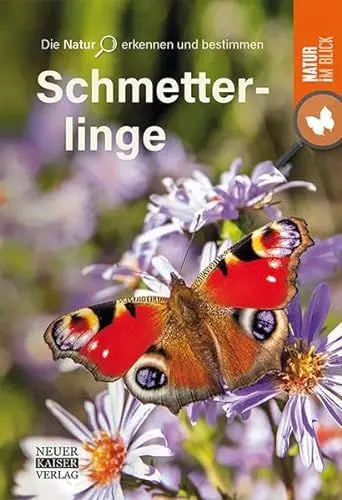 Produktbild: Schmetterlinge: Die Natur erkennen und bestimmen - Natur im Blick