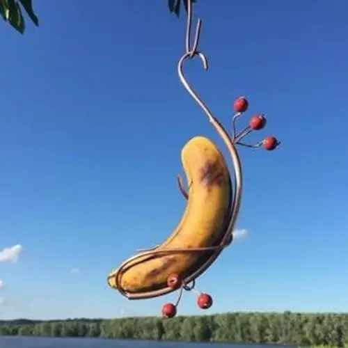 Produktbild: Schmetterlings-Bananen-Hängematte, Schmetterlings-Bananen-Hängematte, Schmetterlings-Futterstation, Hängende Bananen-Hängematten-Futterstation,