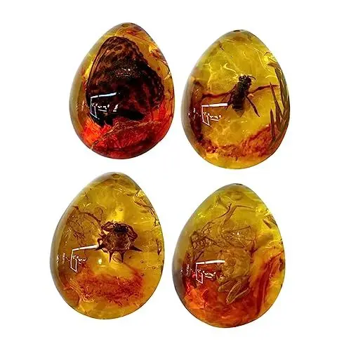 Produktbild: Schmuck Halsketten Merkwürdigkeiten Und Kuriositäten Bernstein Medaillon Kleidung