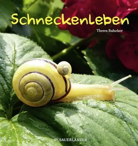 Produktbild: Schneckenleben
