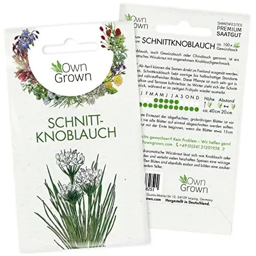 Produktbild: Schnittknoblauch Samen mehrjährig: Schnittknoblauch Pflanze zur Anzucht von 100 Kräuter Pflanzen – Wildkräuter Samen – Samen Kräuter Pflanze OwnGrown