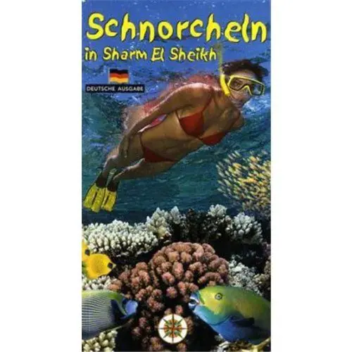 Produktbild: Schnorcheln in Sharm el Sheikh