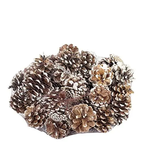 Produktbild: Schwarzkiefern - 1 kg - Natur - Länge ca. 5-8 cm - weiß-Tipped