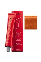 Produktbild: Schwarzkopf IGORA Royal Premium-Haarfarbe 8-77 hellblond kupfer extra, 1er Pack (1 x 60 g)
