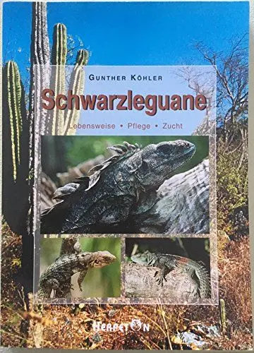 Produktbild: Schwarzleguane: Lebensweise, Pflege, Zucht