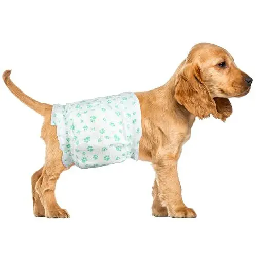 Produktbild: ScratchMe Einweg-Windel Rüdenwindel Hundewindeln für Rüden, Super Saugfähig und Auslaufsicher, Erregbares Wasserlassen oder Inkontinenz, 40-Stück, Extra Groß, Weiß