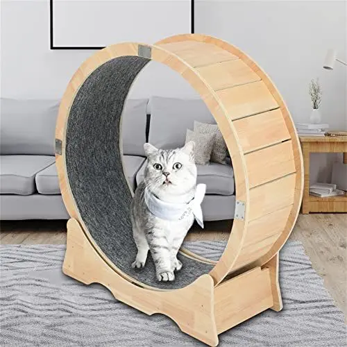 Produktbild: Sdjazl Katzenlaufrad, Katzen-Trainingsrad Laufband mit Teppichboden Runway, Fitness Gewichtsverlustgerät Niedliche Katzenmöbel, Haustierspielzeug, Katzenspielzeug (groß)