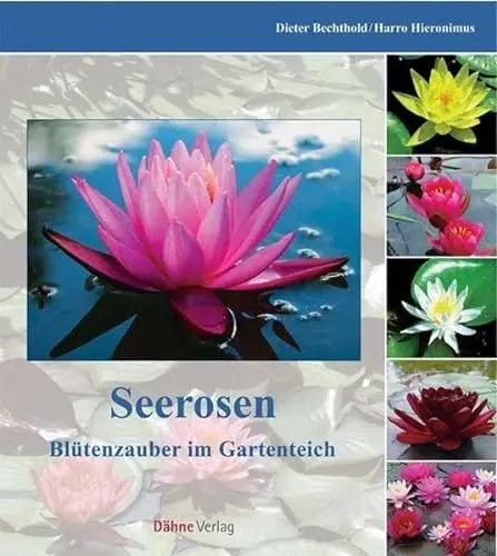 Produktbild: Seerosen: Blütenpracht im Gartenteich