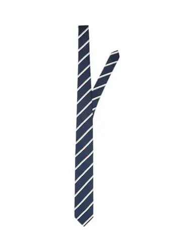 Produktbild: SELETED HOMME Herren SLHLANE Stripe TIE NOOS Krawatte, Sky Captain, ONE Size