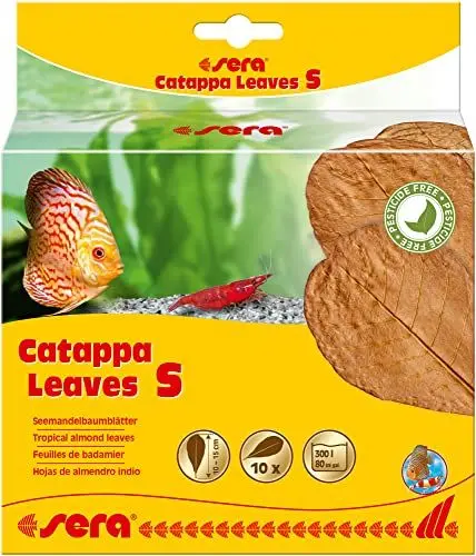 Produktbild: sera Catappa Leaves S 10-15 cm (10St) - Seemandelbaumblätter für die natürliche Wasseraufbereitung