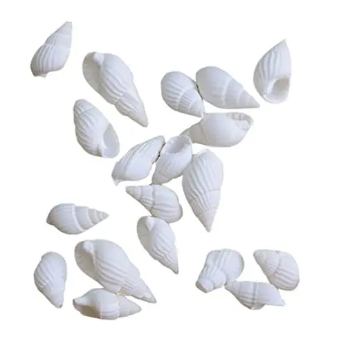 Produktbild: Sewroro Strandmuscheln Mini-Muscheln 100 Stücke Mini Muschel Muscheln ? Dekorative Meer Shell Ocean Strand Conch für Hause Dekorationen Ask Tank Landschaft Zubeh?r Muschelgarten Muscheln Muscheln