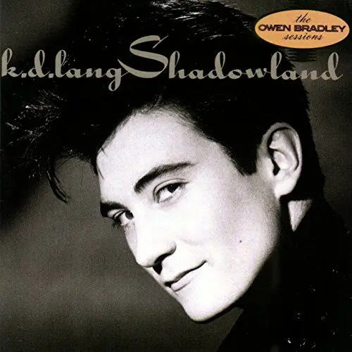 Produktbild: Shadowland