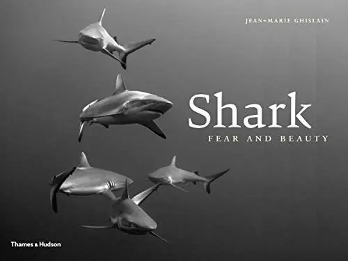Produktbild: Shark: Fear and Beauty