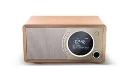 Produktbild: SHARP DR450 Digitalradio (DAB/DAB+/FM mit RDS, Bluetooth, Wecker-Funktionen, 6 Watt), braun