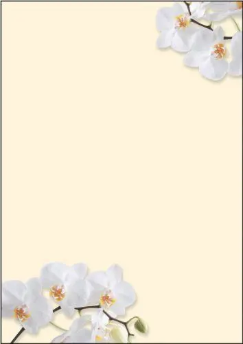 Produktbild: SIGEL DP904 Motiv-Papier 