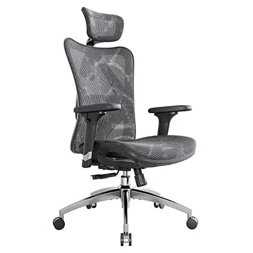 Produktbild: SIHOO Ergonomischer Bürostuhl, Chefsessel mit 3D verstellbare Armlehne und Lendenwirbelstütze, Hautfreundliche Netz-Hochlehne, Schreibtischstuhl bis 150kg/330LB Belastbar (Grau)