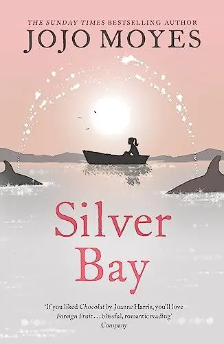 Produktbild: Silver Bay: 'Surprising and genuinely moving' - The Times