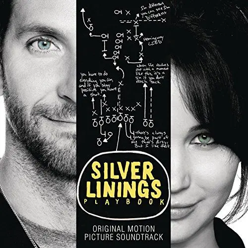 Produktbild: Silver Linings Playbook