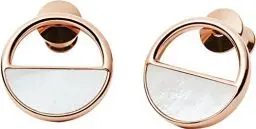 Produktbild: Skagen Damen-Edelstahl-Ohrringe mit Pfostenverschluss, rund