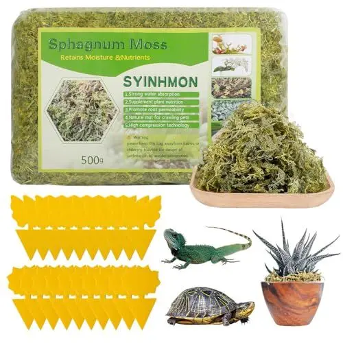 Produktbild: SKJJL Sphagnum Moos für Pflanzen, 500g Natürliches Sphagnum Moos mit 20 Gelbsticker Trauermücken, Moos Deko Erhöhung der Luftfeuchtigkeit, Sphagnum Moss für Orchideen und Bonsai, Reptilien