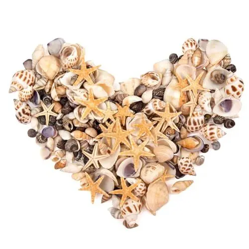 Produktbild: SKOOLOVE 300pcs Mini Starfis und kleine Muscheln Mini Gemischte Muscheln Seestern Natürliche Muscheln für Strand Malerei Kunst & Handwerk Galerie Home DIY (160g)