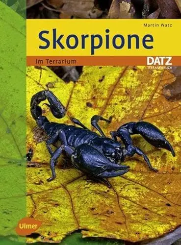 Produktbild: Skorpione: im Terrarium (Datz Terrarienbücher)