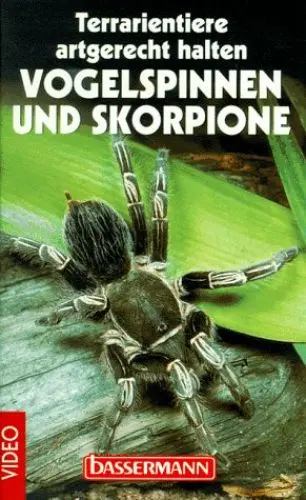 Produktbild: Skorpione und Vogelspinnen (VHS)