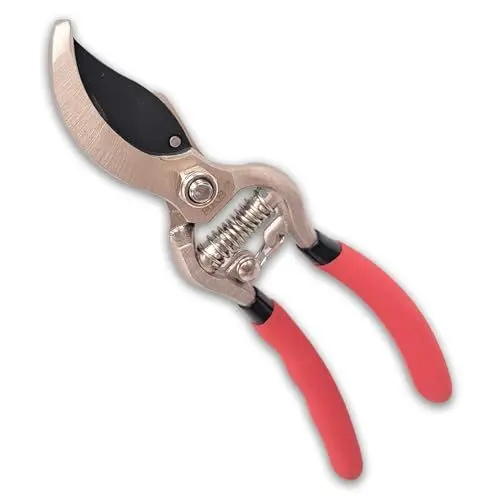 Produktbild: S.Kunde & Sohn – SKS 6 Tradition Baum – und Rosenschere, Bypass Gartenschere, Rostfreie Rebschere, Astschere, Zerwirkschere, Trimmschere, ∅20mm, Rot