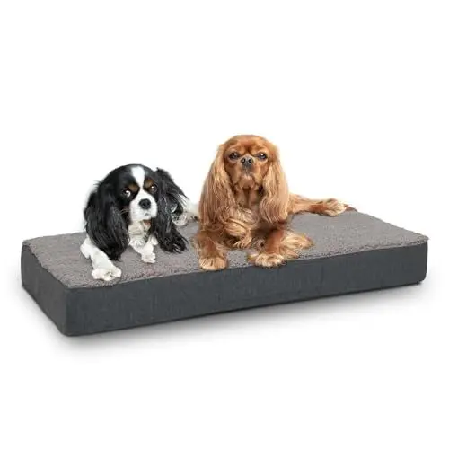 Produktbild: Sleezzz Petzzz Orthopädisches Hundekissen, Hundematratze, Hundebett 80 x 55 x 10 cm, Memory Foam, Grau, Waschbarer Bezug