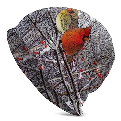 Produktbild: Slouchy Beanie Hat Skull Cap Red Bird Christmas Fußmatte Baggy Warm Women Long Hip-Hop Stretch