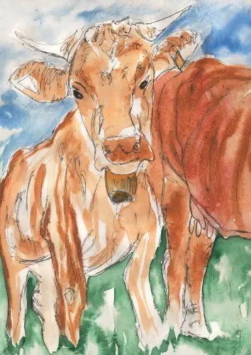 Produktbild: So wird Käse gemacht!