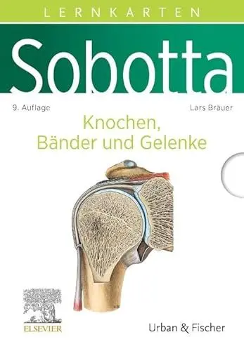 Produktbild: Sobotta Lernkarten Anatomie: Knochen, Bänder und Gelenke