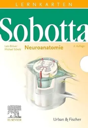 Produktbild: Sobotta Lernkarten Neuroanatomie: Neuroanatomie