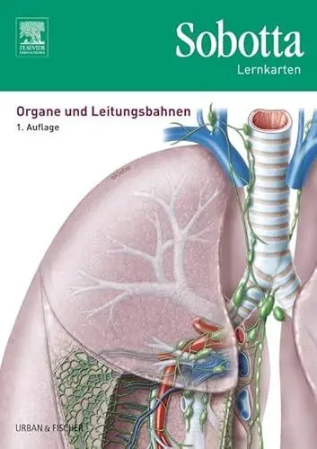 Produktbild: Sobotta Lernkarten Organe und Leitungsbahnen: Organe und Leitungsbahnen