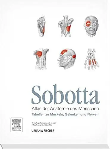 Produktbild: Sobotta Tabellen zu Muskeln, Gelenken und Nerven: Tabellen passend zur 23. Aufl. des Sobotta-Atlas