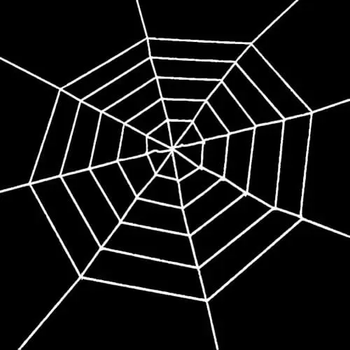 Produktbild: SOFPLATE 59 x 59 Zoll Spinnennetz Halloween Dekoration Spukhaus Requisiten Weiße Spinnennetzschnur Realistisches Rundes Seil Trick Or Treat Gruseliges Setup Für Halloween Festival Party Fenster Innen