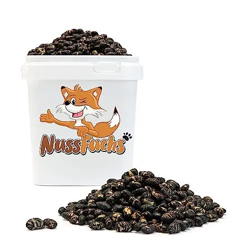Produktbild: Sojabohnen 2kg - schwarze Sojabohnen geröstet & gesalzen vegan glutenfrei ohne Zusätze schwarze Edamame Bohnen ohne Fett geröstet knuspriger Snack für zwischendurch NussFuchs (2kg im Behälter)