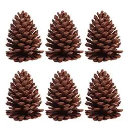 Produktbild: SOLUSTRE 6pcs Tannenzapfen Basteln Kiefernzapfen Tannenzapfen Naturzapfen Schwarzkiefer Weihnachtsbaum Zapfen Weihnachtsdeko Herbstdeko für DIY Handwerk Ornament Dekoration