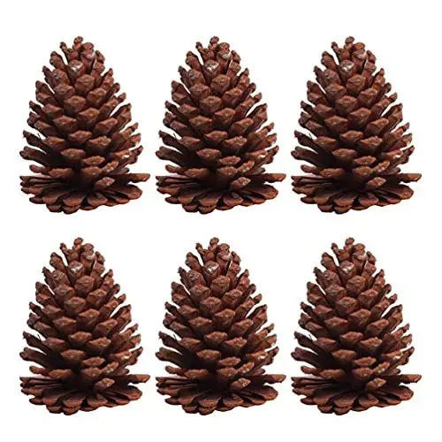 Produktbild: SOLUSTRE 6pcs Tannenzapfen Basteln Kiefernzapfen Tannenzapfen Naturzapfen Schwarzkiefer Weihnachtsbaum Zapfen Weihnachtsdeko Herbstdeko für DIY Handwerk Ornament Dekoration