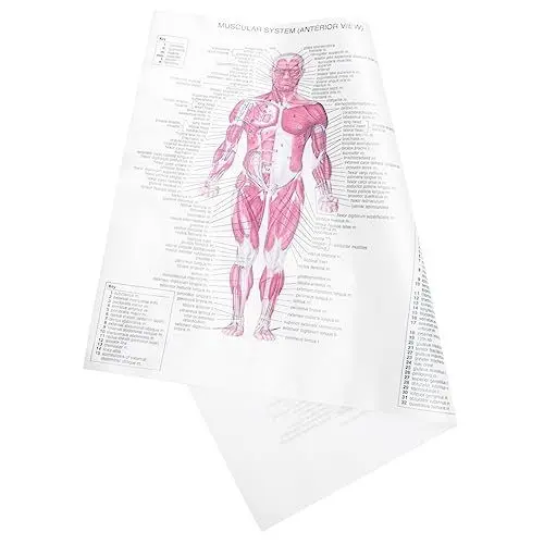 Produktbild: SOLUSTRE Bürodekorationsmalerei Poster Zur Skelettanatomie Medizinisches Plakat Diagramme Des Skelettsystems Anatomisches Plakat Sza-plakat Jahrgang Dekorative Gemälde Seidentuch Weiß