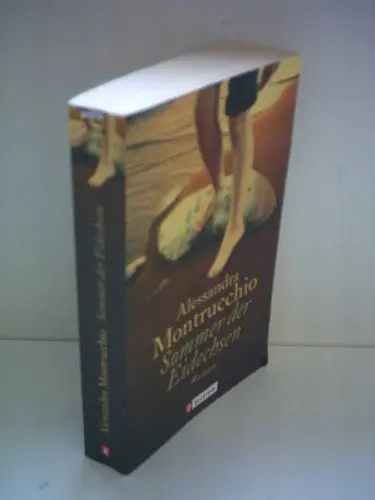 Produktbild: Sommer der Eidechsen (Ullstein Taschenbuch)