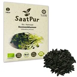 Produktbild: Sonnenblumen BIO Keimsprossen von SaatPur - Sprossen, Microgreens - 50g